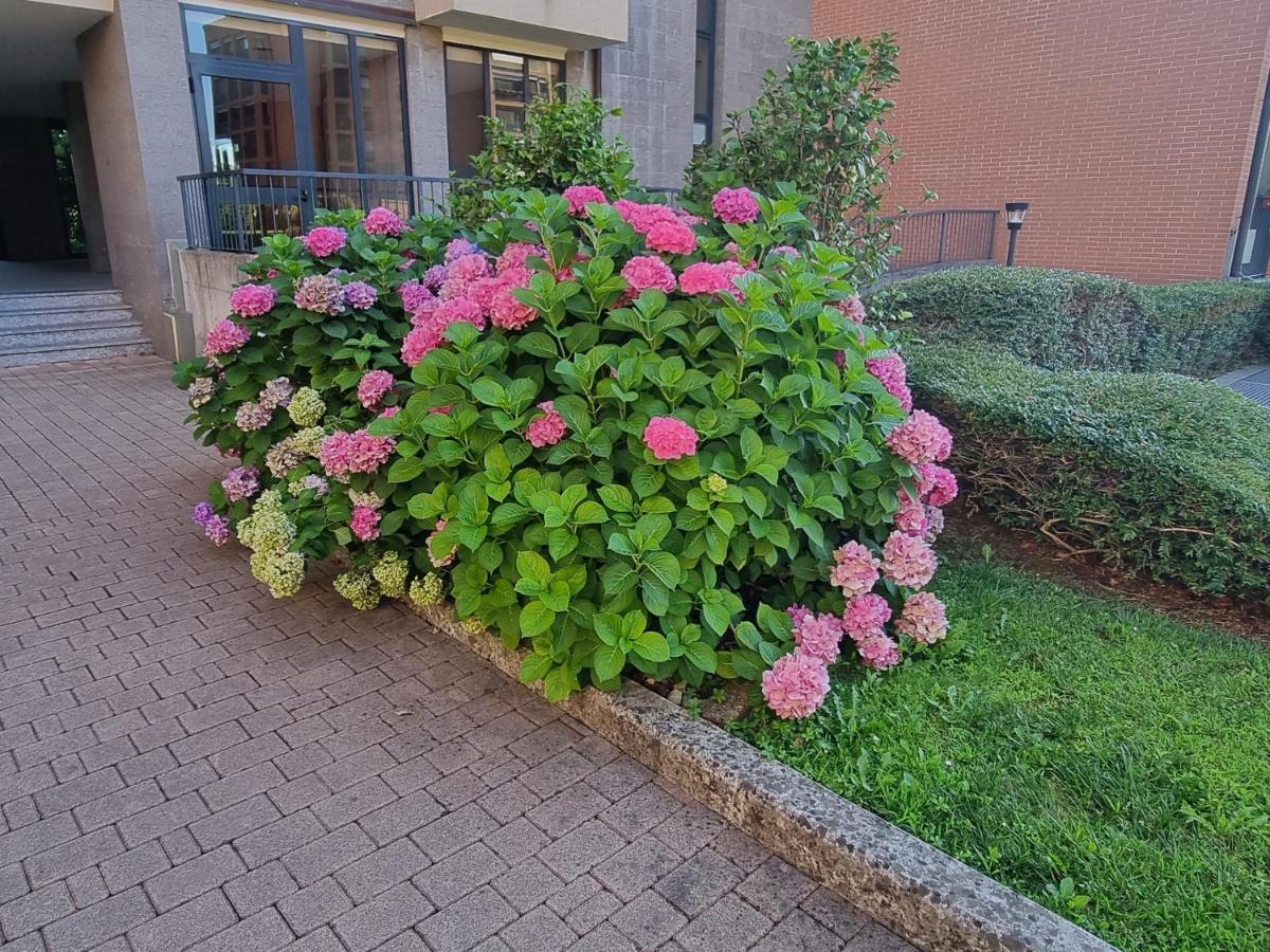 Ferienwohnung La Casetta Di Grazia E Nino Buccinasco Exterior foto